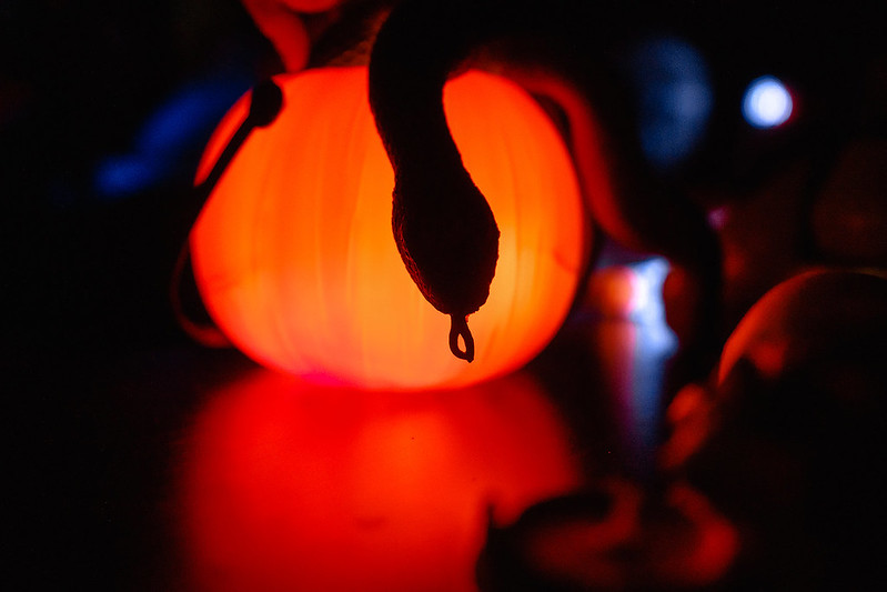 Украшение дома паутиной и летучими мышами к Хэллоуину в Krasnoyarsk